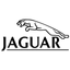 jaguar-64x64-202813.png